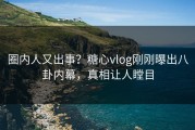 圈内人又出事？糖心vlog刚刚曝出八卦内幕，真相让人瞠目