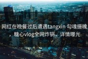 网红在晚餐过后遭遇tangxin 勾魂摄魄，糖心vlog全网炸锅，详情曝光