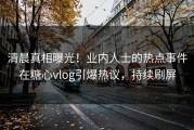 清晨真相曝光！业内人士的热点事件在糖心vlog引爆热议，持续刷屏