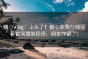 糖心Vlog：上头了！糖心免费在线观看官网爆笑现场，网友炸锅了！