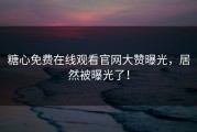 糖心免费在线观看官网大赞曝光，居然被曝光了！