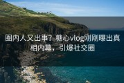 圈内人又出事？糖心vlog刚刚曝出真相内幕，引爆社交圈