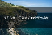 探花科普：花絮背后10个细节真相