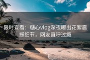 限时查看：糖心vlog深夜曝出花絮震撼细节，网友直呼过瘾