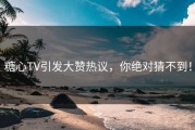 糖心TV引发大赞热议，你绝对猜不到！
