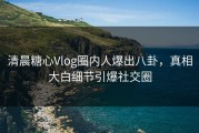 清晨糖心Vlog圈内人爆出八卦，真相大白细节引爆社交圈