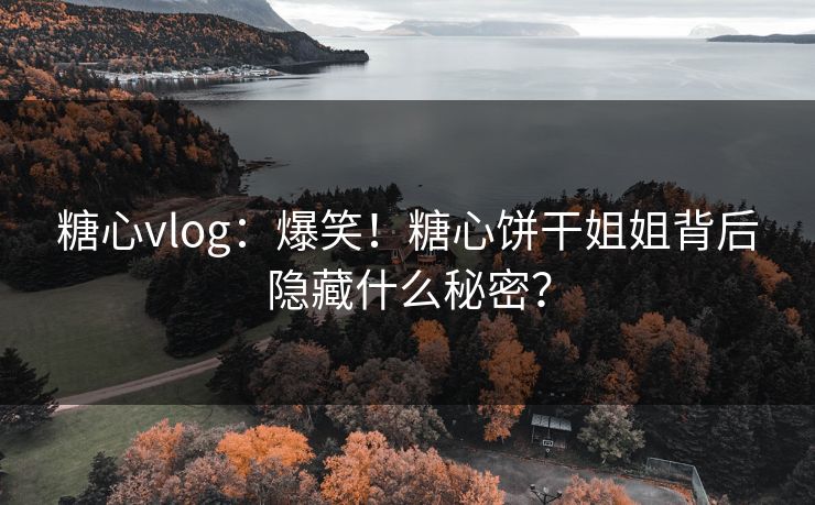 糖心vlog：爆笑！糖心饼干姐姐背后隐藏什么秘密？