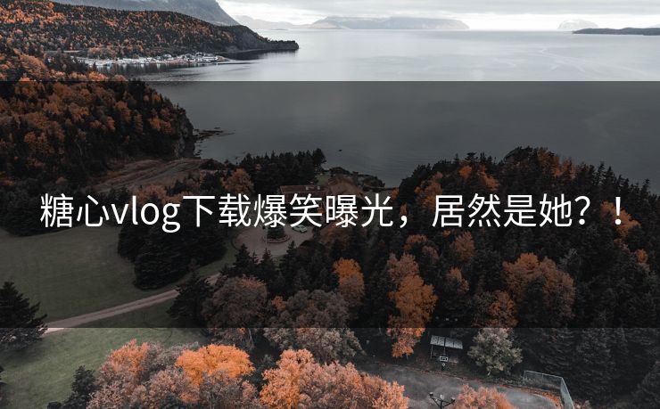 糖心vlog下载爆笑曝光，居然是她？！