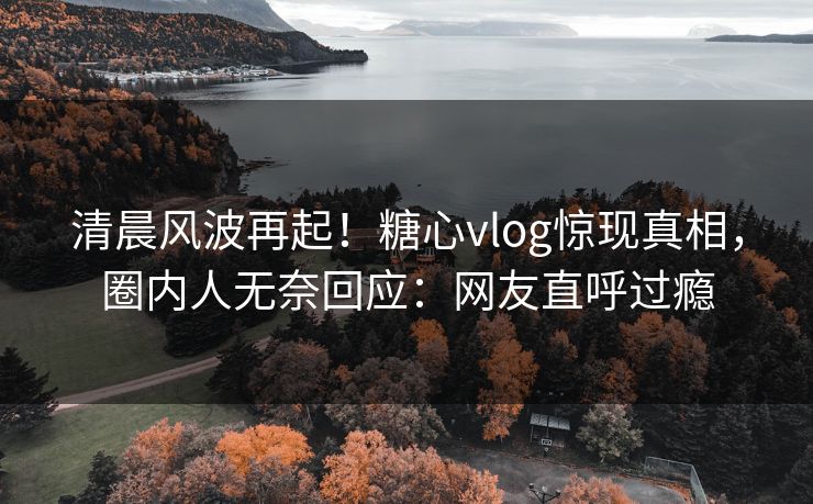清晨风波再起！糖心vlog惊现真相，圈内人无奈回应：网友直呼过瘾
