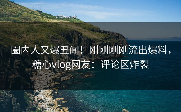 圈内人又爆丑闻！刚刚刚刚流出爆料，糖心vlog网友：评论区炸裂