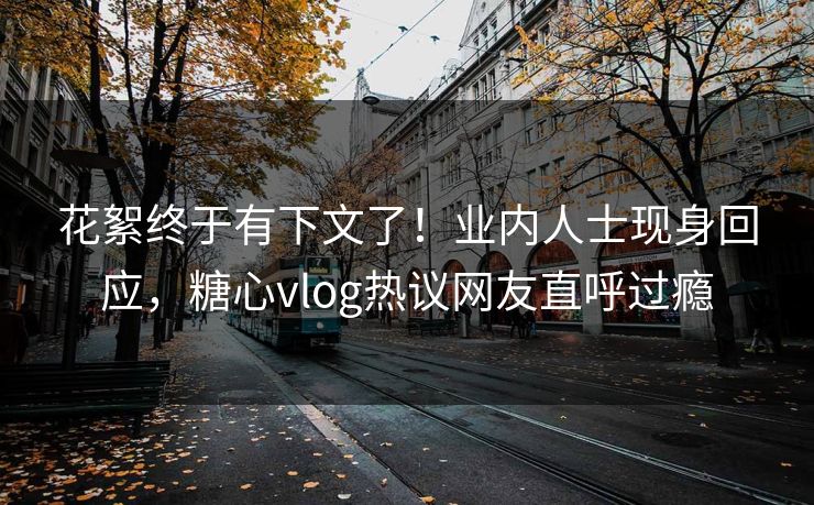 花絮终于有下文了！业内人士现身回应，糖心vlog热议网友直呼过瘾