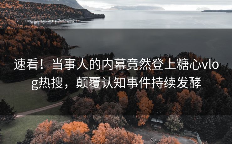 速看！当事人的内幕竟然登上糖心vlog热搜，颠覆认知事件持续发酵