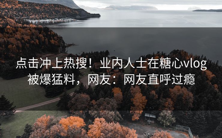 点击冲上热搜！业内人士在糖心vlog被爆猛料，网友：网友直呼过瘾