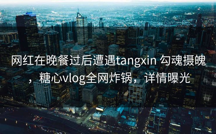 网红在晚餐过后遭遇tangxin 勾魂摄魄，糖心vlog全网炸锅，详情曝光