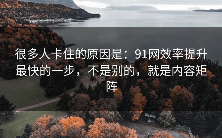 很多人卡住的原因是:91网效率提升最快的一步,不是别的,就是内容矩阵 很多人卡住的原因是:91网效率提升最快的一步,不是别的,就是内容矩阵